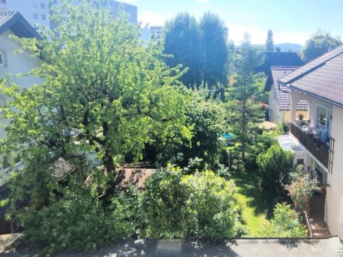 Ausblick