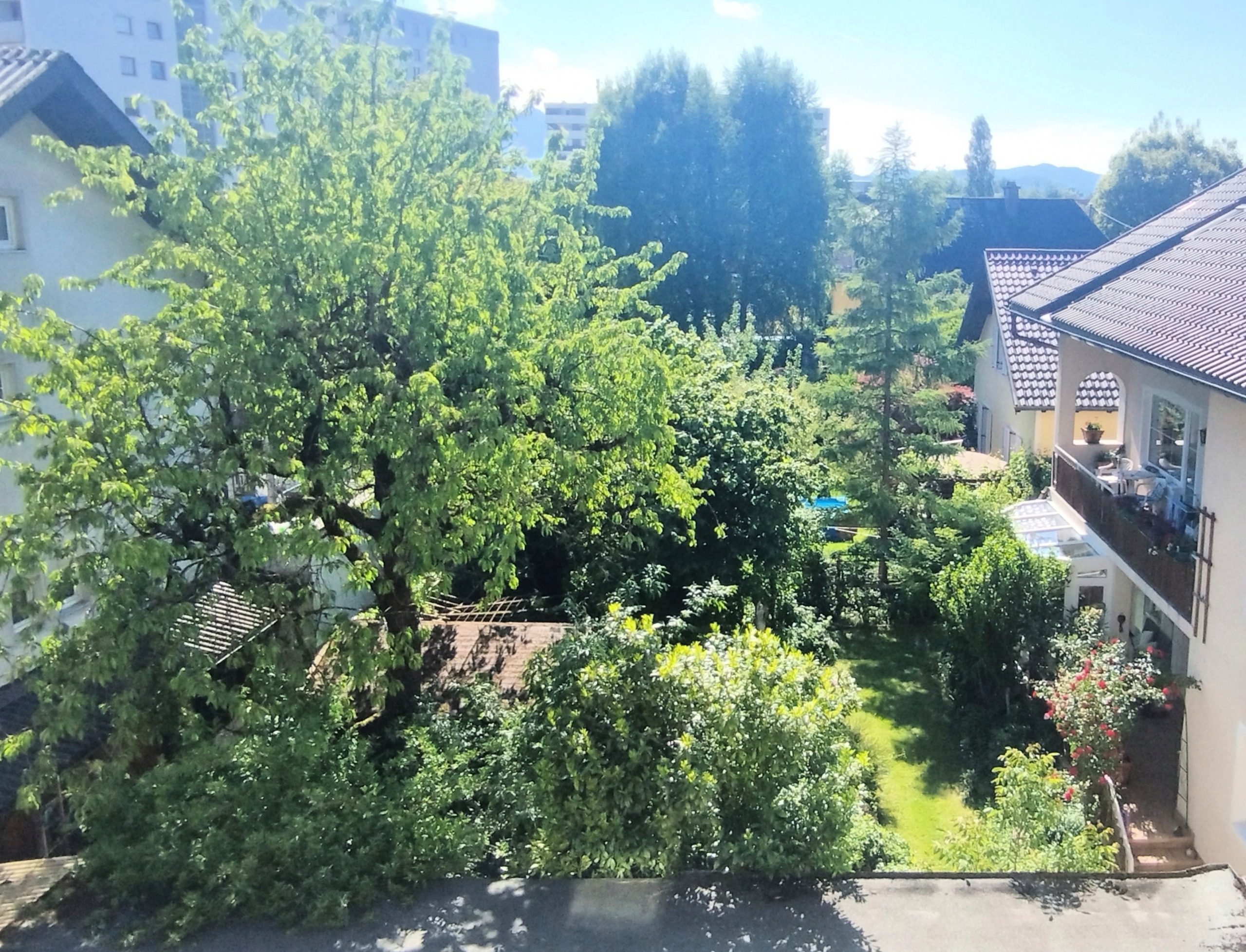 Ausblick